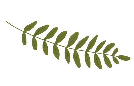 image leaf