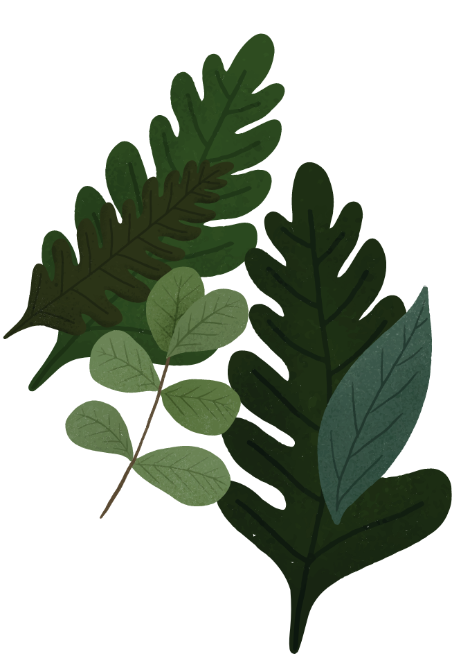 image leaf