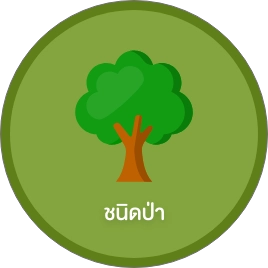 icon forest